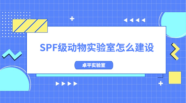 SPF(sh)(yn)ôO(sh)